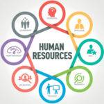 Human Resource Management Assignment Help - HRM Final Report