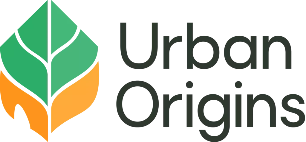 Urban origins essay