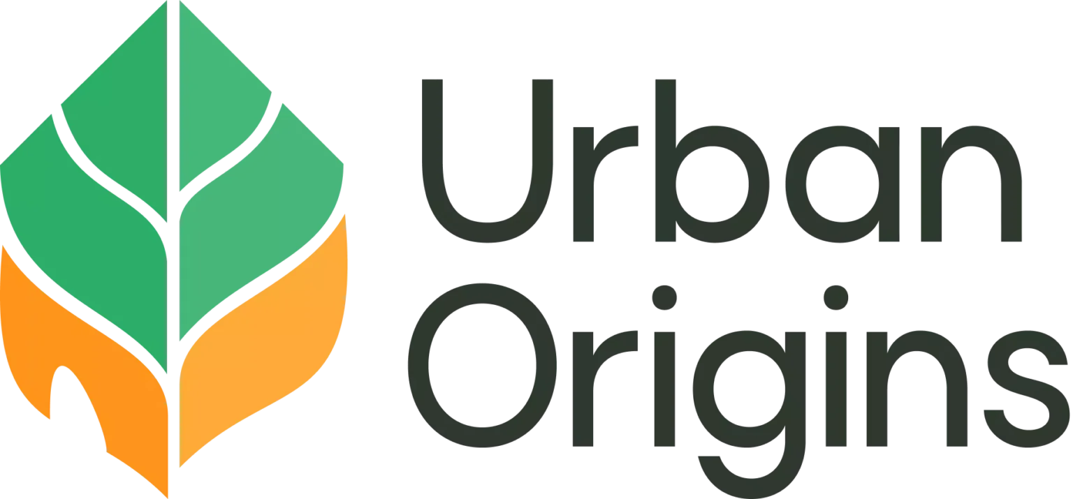 Urban origins essay