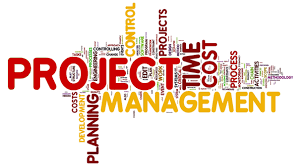 Manage project information and communication