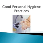 SITXFSA001 Use Hygienic Practices for Food Safety
