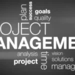 7173 6678G Systems Project & Quality Management